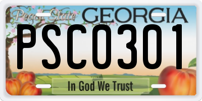 GA license plate PSC0301