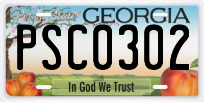 GA license plate PSC0302