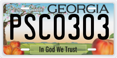GA license plate PSC0303