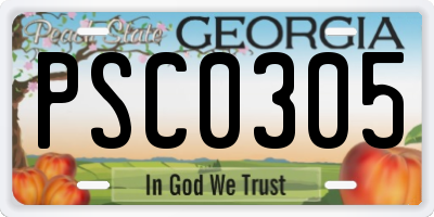 GA license plate PSC0305