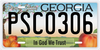 GA license plate PSC0306
