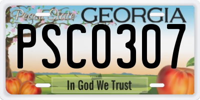 GA license plate PSC0307