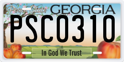 GA license plate PSC0310