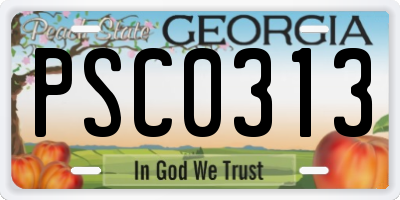 GA license plate PSC0313