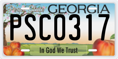 GA license plate PSC0317
