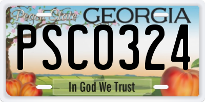 GA license plate PSC0324