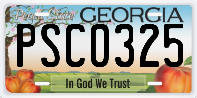 GA license plate PSC0325