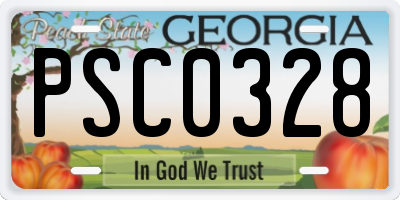 GA license plate PSC0328