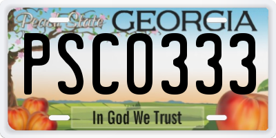 GA license plate PSC0333