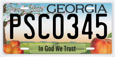 GA license plate PSC0345