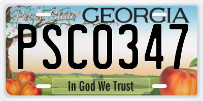 GA license plate PSC0347
