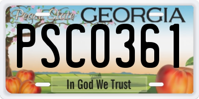 GA license plate PSC0361