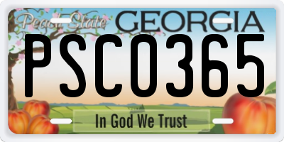 GA license plate PSC0365