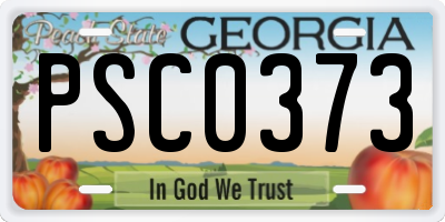 GA license plate PSC0373