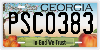 GA license plate PSC0383