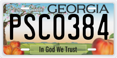 GA license plate PSC0384