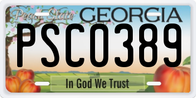 GA license plate PSC0389
