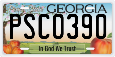 GA license plate PSC0390