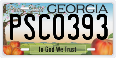 GA license plate PSC0393