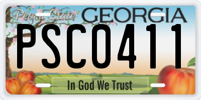 GA license plate PSC0411