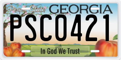 GA license plate PSC0421