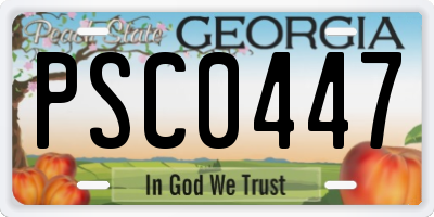 GA license plate PSC0447