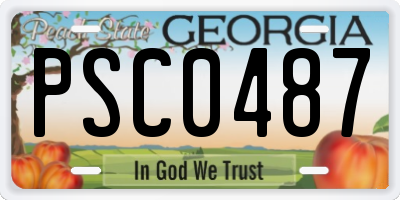 GA license plate PSC0487