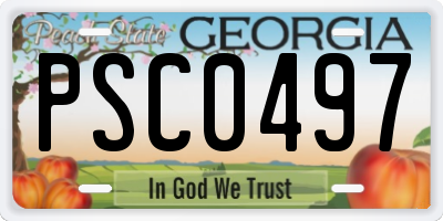 GA license plate PSC0497