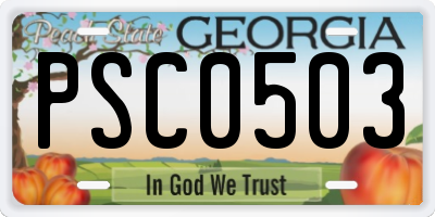 GA license plate PSC0503