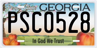 GA license plate PSC0528