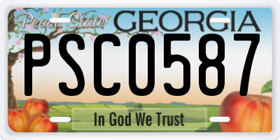 GA license plate PSC0587