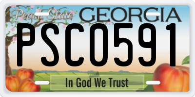 GA license plate PSC0591
