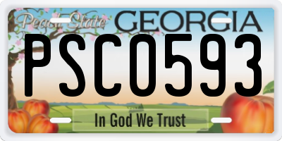 GA license plate PSC0593