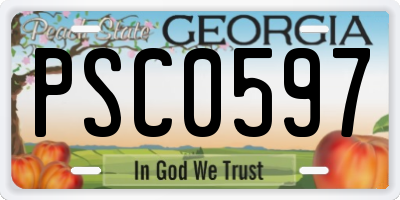 GA license plate PSC0597