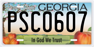 GA license plate PSC0607