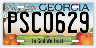 GA license plate PSC0629
