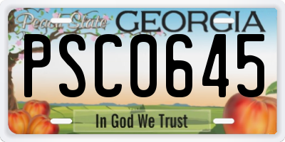 GA license plate PSC0645