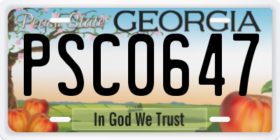 GA license plate PSC0647