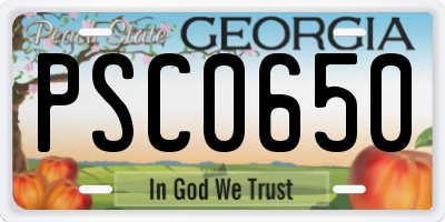 GA license plate PSC0650