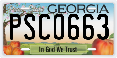 GA license plate PSC0663