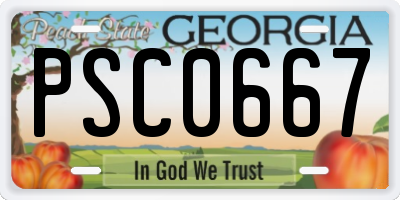 GA license plate PSC0667