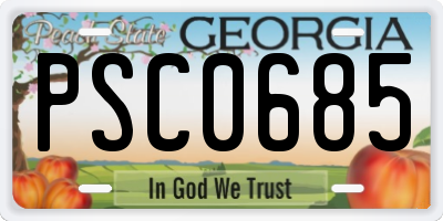 GA license plate PSC0685