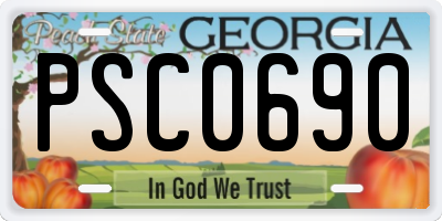 GA license plate PSC0690