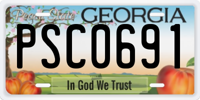 GA license plate PSC0691