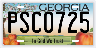 GA license plate PSC0725
