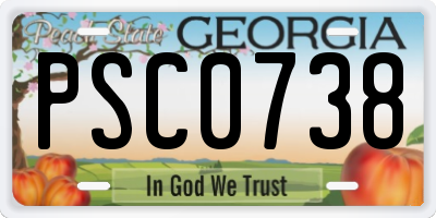 GA license plate PSC0738