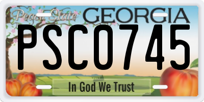 GA license plate PSC0745