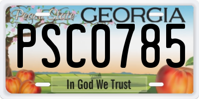 GA license plate PSC0785