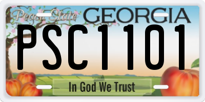 GA license plate PSC1101