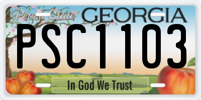 GA license plate PSC1103